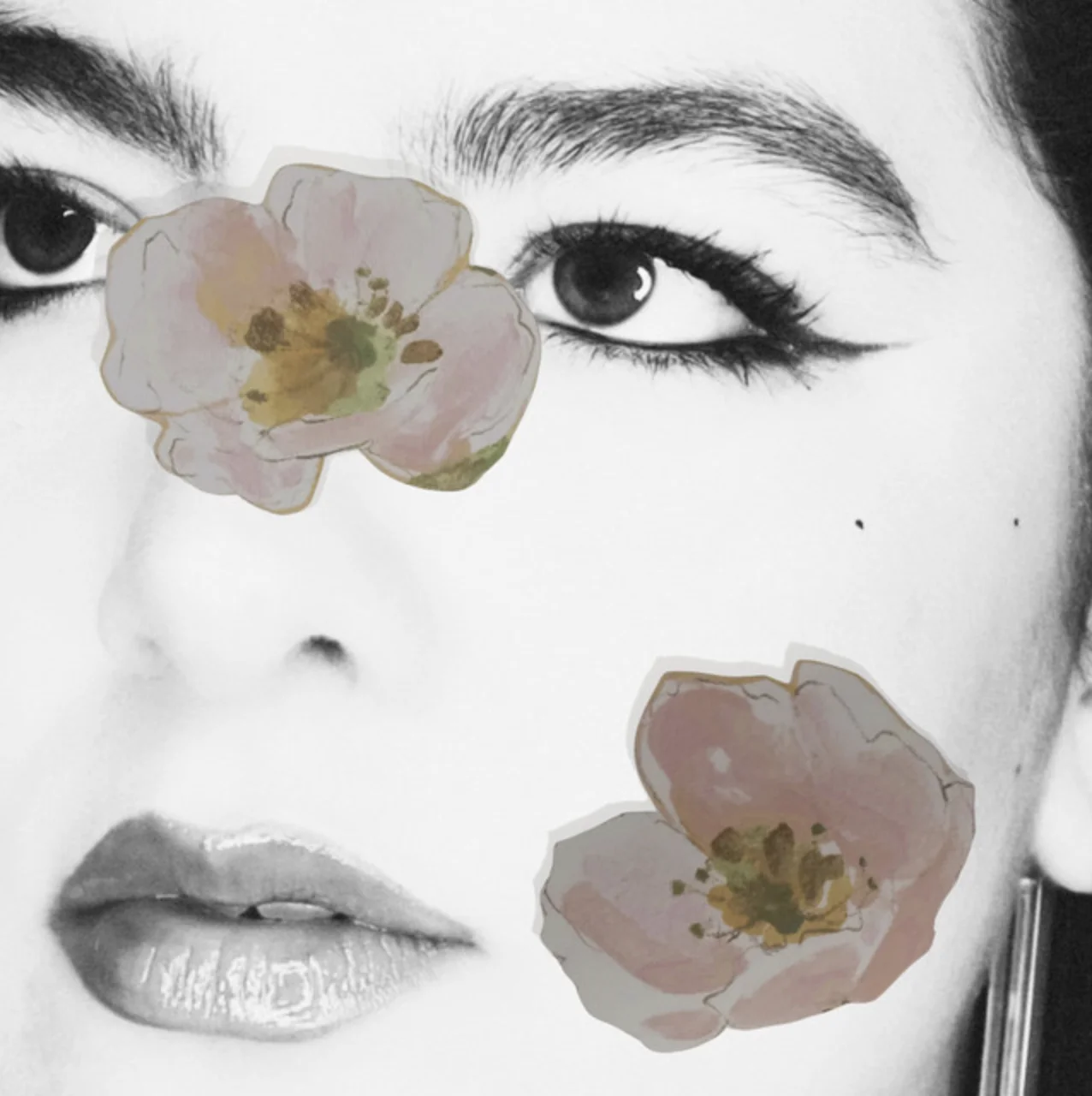 Jardín (2026) - guitare par Tim Rault